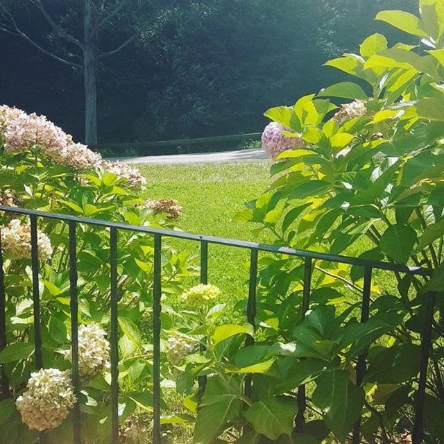 Somavilla Cantabria Zewnętrze zdjęcie