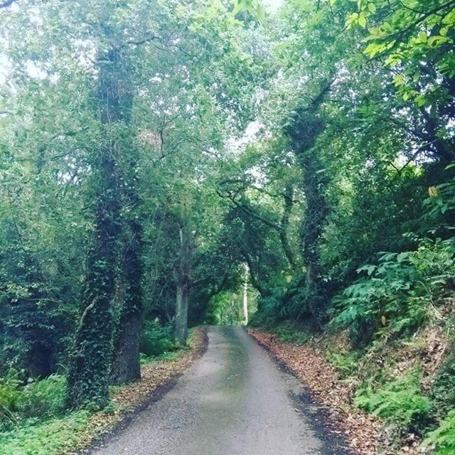 Somavilla Cantabria Zewnętrze zdjęcie